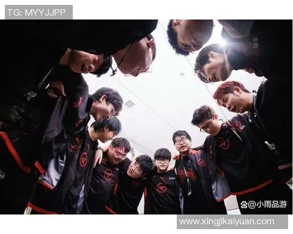 王者荣耀团队协作解析:WE战队的默契与配合之道 王者荣耀团队协作解析:WE战队的默契与配合之道