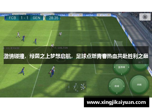 激情碰撞，绿茵之上梦想启航，足球点燃青春热血共赴胜利之巅