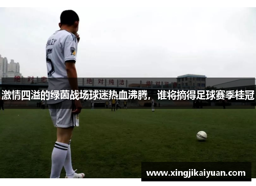 激情四溢的绿茵战场球迷热血沸腾，谁将摘得足球赛季桂冠
