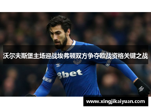 沃尔夫斯堡主场迎战埃弗顿双方争夺欧战资格关键之战
