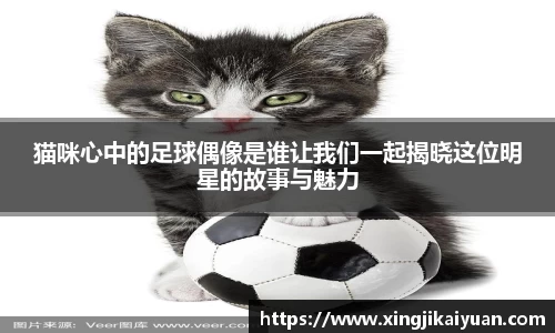 jbo竞博登录入口